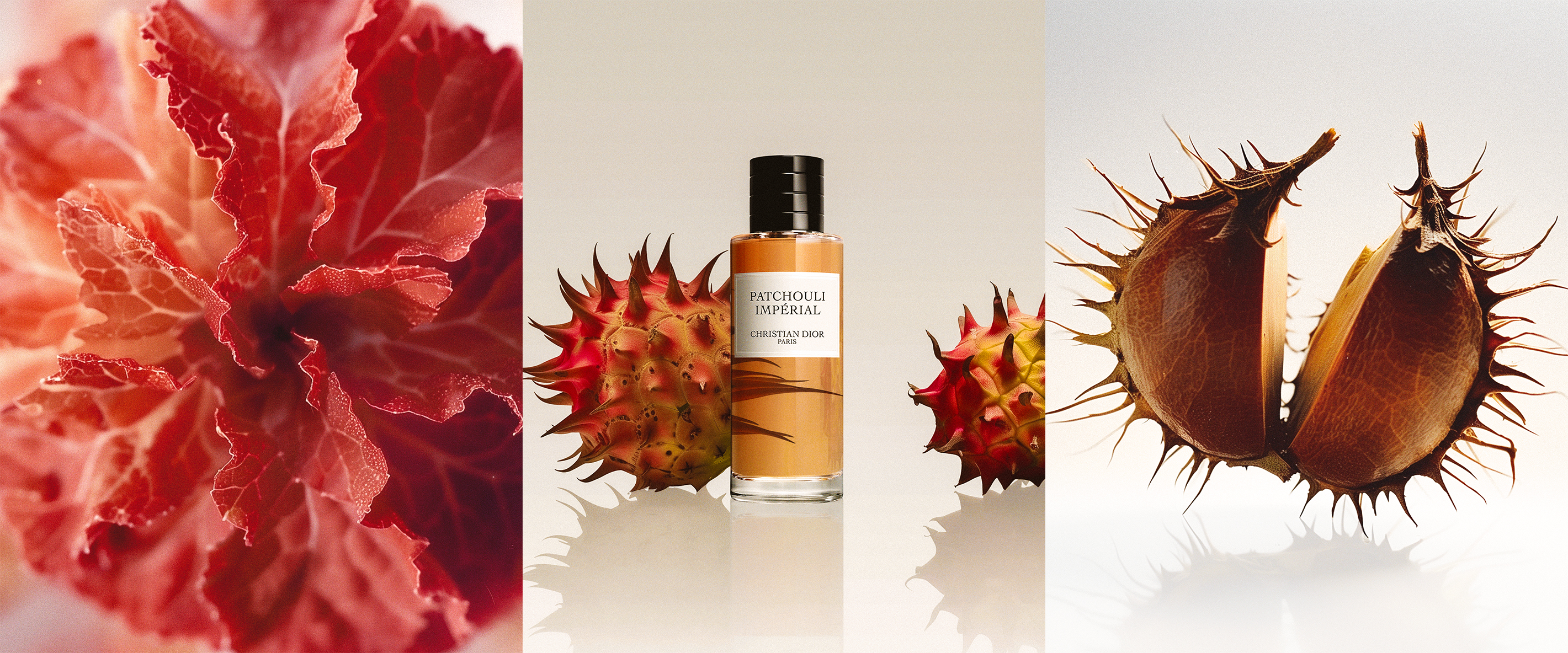  Cowboys agency Paris 