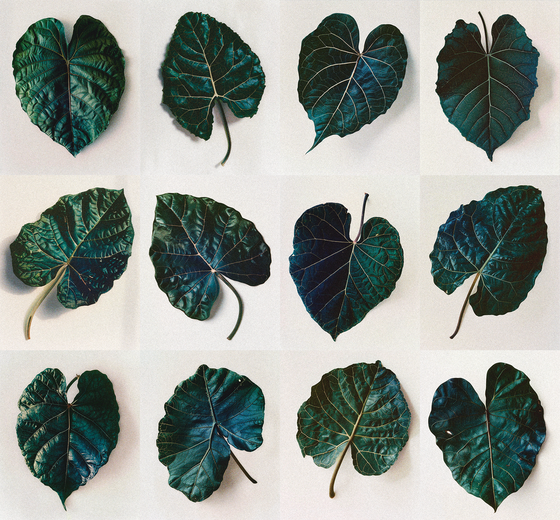  Cowboys agency Paris 