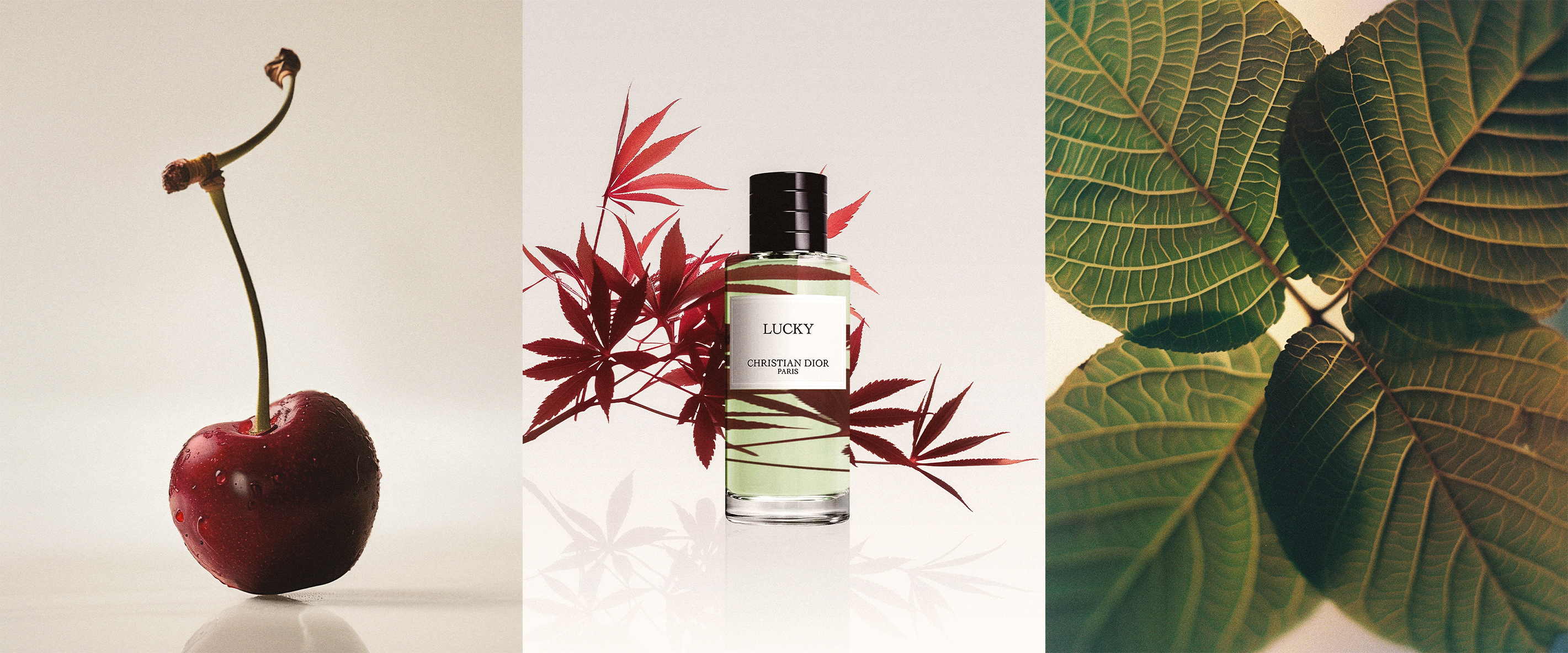  Cowboys agency Paris 